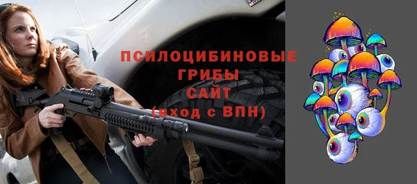 мдпв Инта