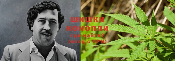 мдпв Инта