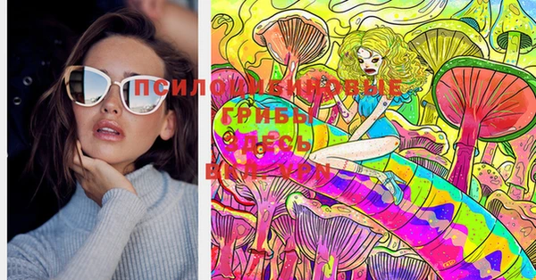 мдпв Инта