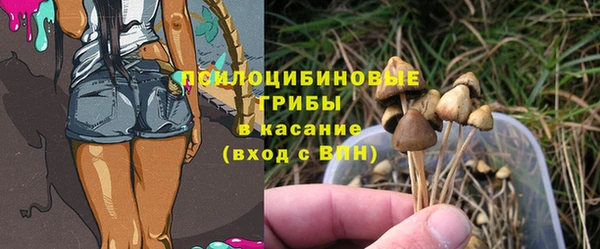 мдпв Инта