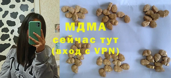 мдпв Инта