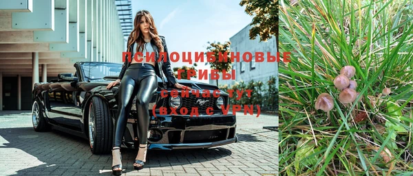 метадон Инсар