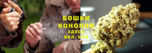 метадон Инсар