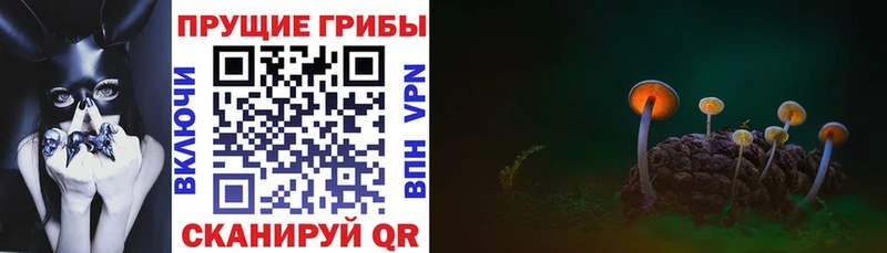 Псилоцибиновые грибы ЛСД Онега