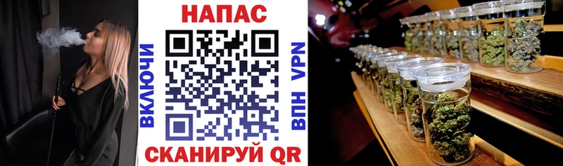 Купить где Онега Канабис план